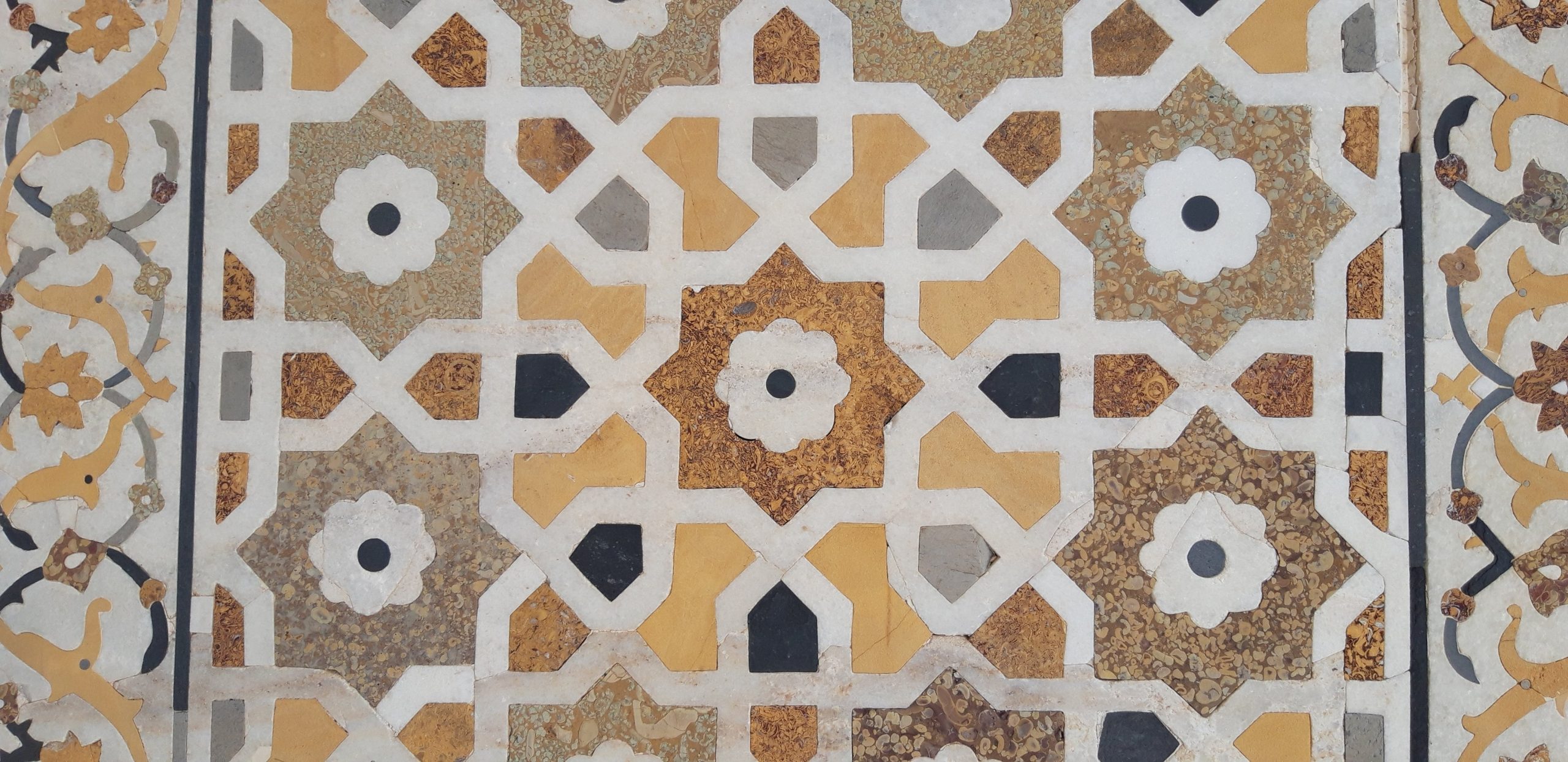 Kronika roku akademickiego 2024/2025